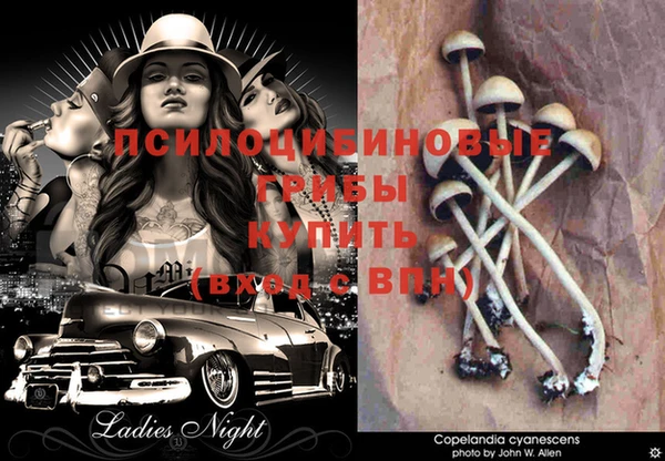 спиды Абдулино