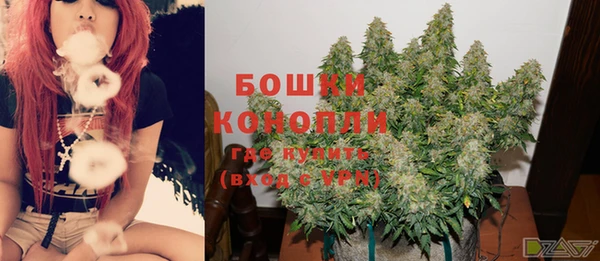 стафф Семёнов