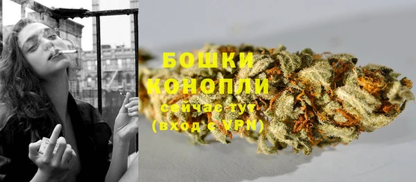 стафф Семёнов