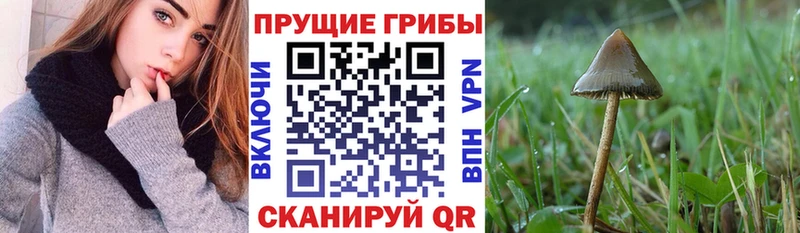 Псилоцибиновые грибы мухоморы  Черноголовка 